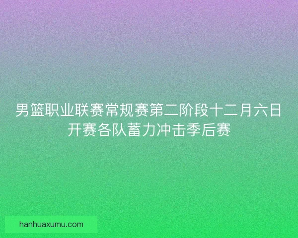 男篮职业联赛常规赛第二阶段十二月六日开赛各队蓄力冲击季后赛