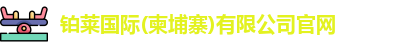 铂莱国际
